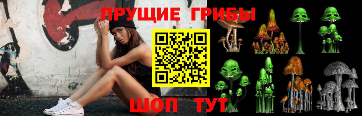 Мытищи  Псилоцибиновые грибы Psilocybine cubensis  Вход с VPN 